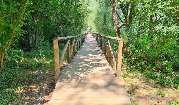 Parco della cervelletta
