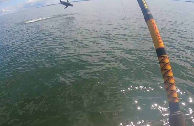 Canna da pesca Canna da pesca