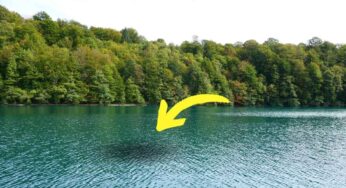Incontro terribile nel lago: cosa vede nell’acqua
