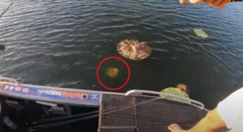 Lancia la canna da pesca e trova qualcosa di impensabile | VIDEO