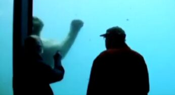Stavano guardando l’orso polare nella vasca, ma accade qualcosa di spaventoso