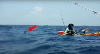 Qualcosa lo attacca all’improvviso mentre è in canoa | FOTO