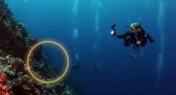 Scoperte due piramidi in fondo all’oceano: dove e come ci sono finite lì
