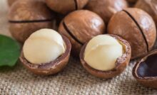 Noci di Macadonia
