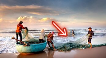 Pescatori catturano l’animale sbagliato ma ormai è troppo tardi